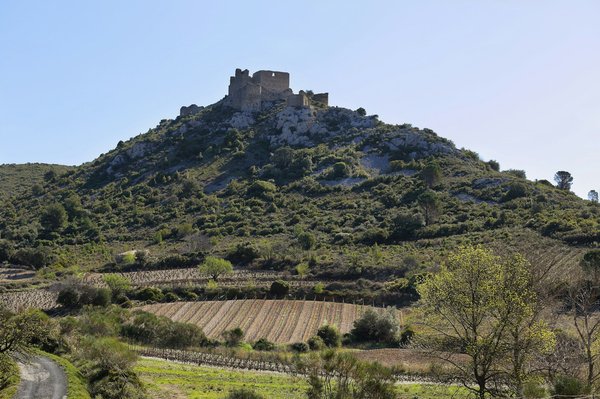 Discover British Naval Battle History: Engaging Guided Tours in Portsmouth