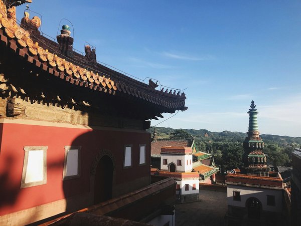 How to arrange a guided walking tour of the Jurassic Coast?